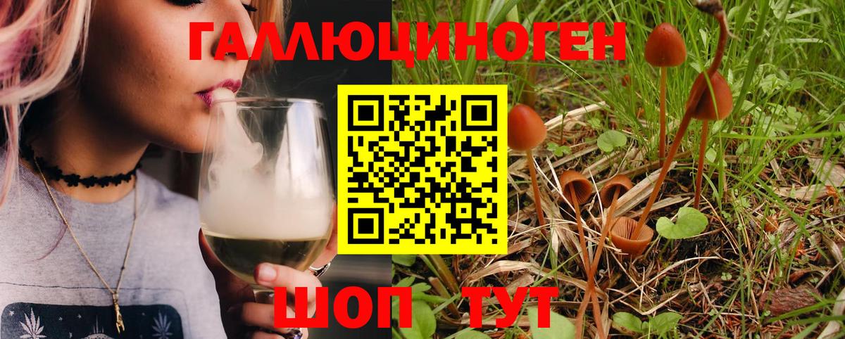 Галлюциногенные грибы Psilocybine cubensis  Вход с VPN  Рыбинск 